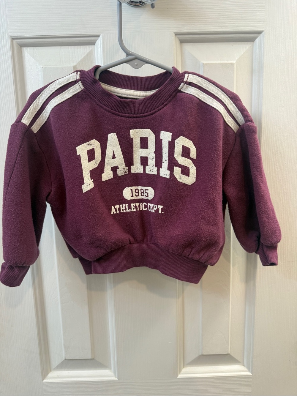 Greyson Mini Varsity Paris Sweater Roomy Crop Style